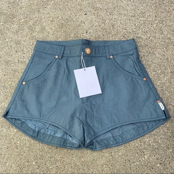 One Teaspoon Pants - NWT One Teaspoon 100% Leather High Waist Shorts Sz M